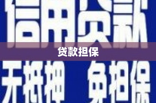 公安贷款担保
