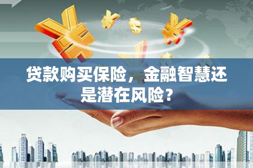 公安贷款购买保险，金融智慧还是潜在风险？