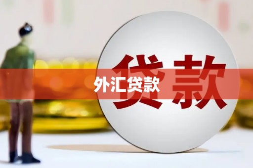 公安外汇贷款