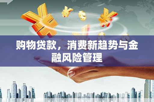 公安购物贷款，消费新趋势与金融风险管理
