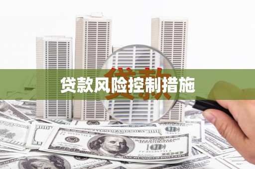 公安贷款风险控制措施