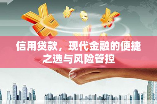 公安信用贷款，现代金融的便捷之选与风险管控