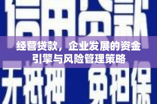公安经营贷款，企业发展的资金引擎与风险管理策略