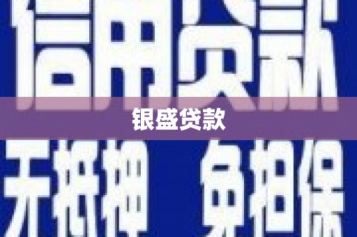 公安银盛贷款