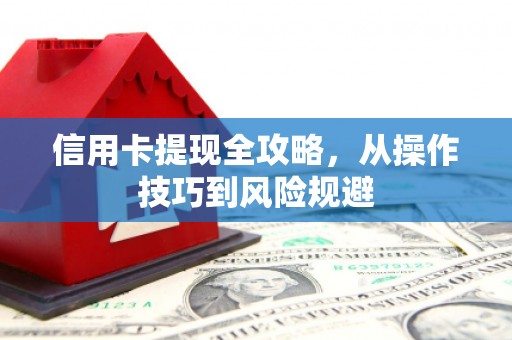 公安信用卡提现全攻略，从操作技巧到风险规避