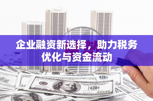 公安企业融资新选择，助力税务优化与资金流动
