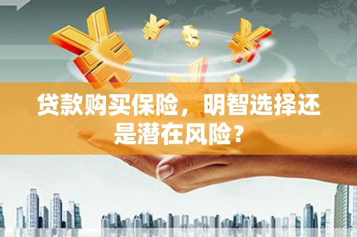公安贷款购买保险，明智选择还是潜在风险？