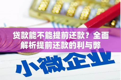 公安贷款能不能提前还款？全面解析提前还款的利与弊