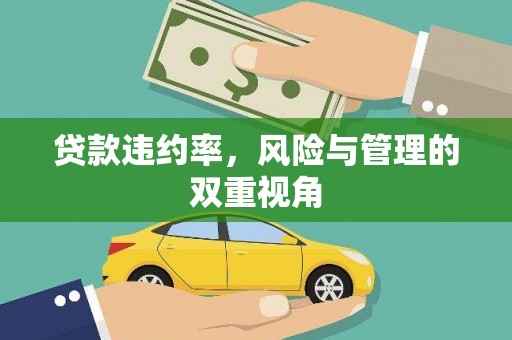 公安贷款违约率，风险与管理的双重视角