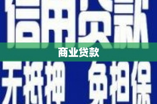 公安商业贷款