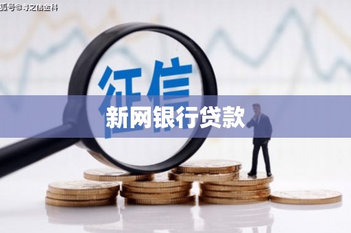 公安新网银行贷款
