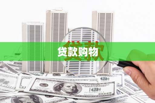 公安贷款购物