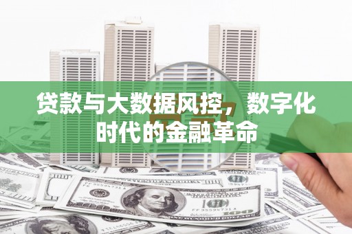 公安贷款与大数据风控，数字化时代的金融革命