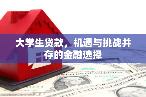 公安大学生贷款，机遇与挑战并存的金融选择