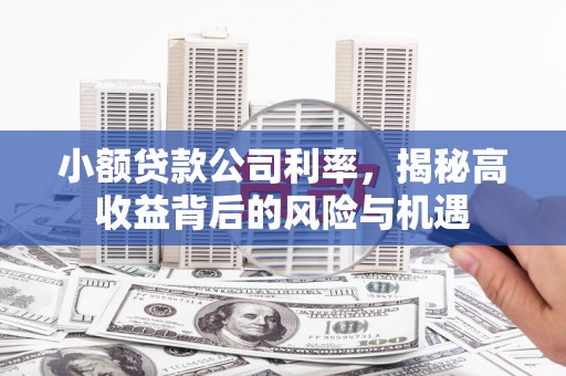 公安小额贷款公司利率，揭秘高收益背后的风险与机遇