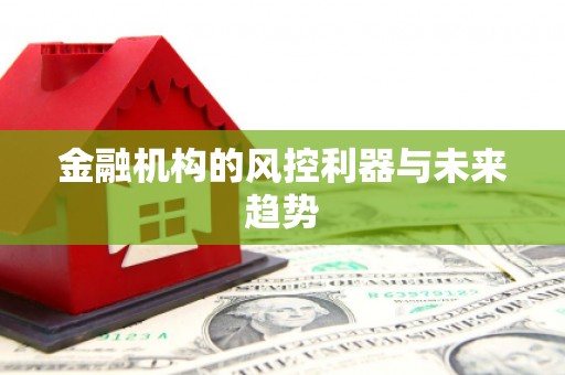 公安金融机构的风控利器与未来趋势