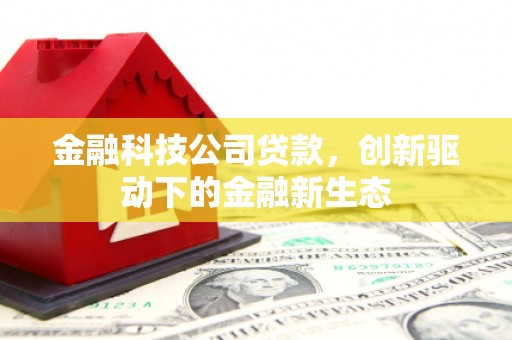 公安金融科技公司贷款，创新驱动下的金融新生态