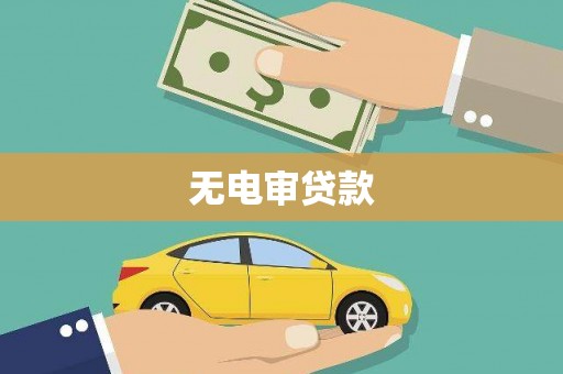 公安无电审贷款