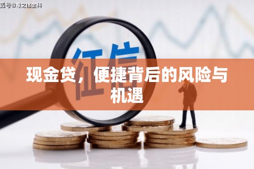 公安现金贷，便捷背后的风险与机遇