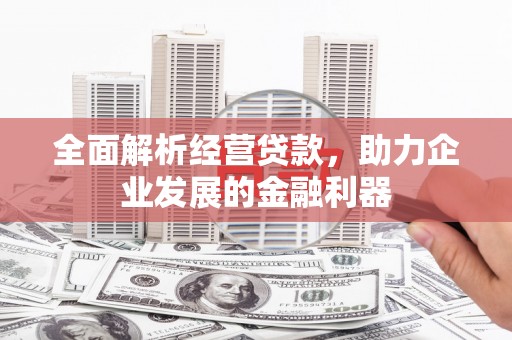 公安全面解析经营贷款，助力企业发展的金融利器