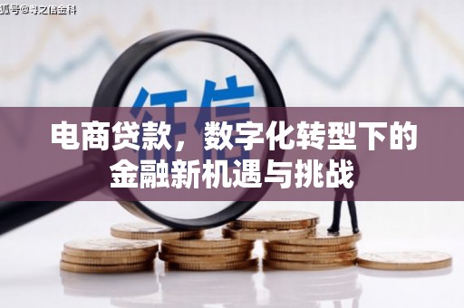 公安电商贷款，数字化转型下的金融新机遇与挑战