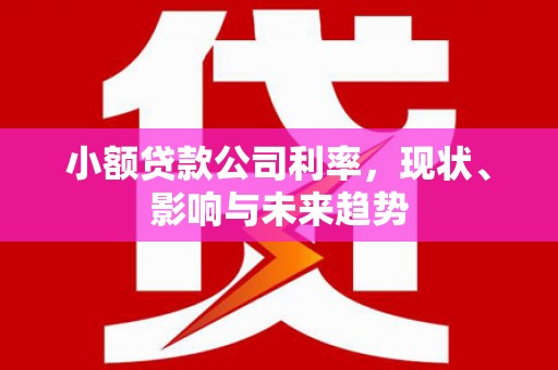 公安小额贷款公司利率，现状、影响与未来趋势