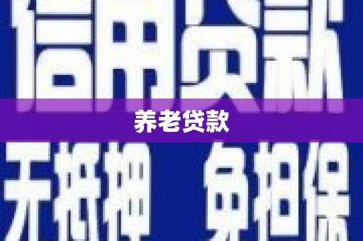 公安养老贷款