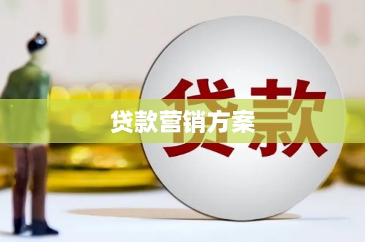 公安贷款营销方案