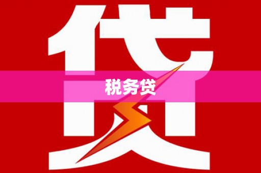 公安税务贷