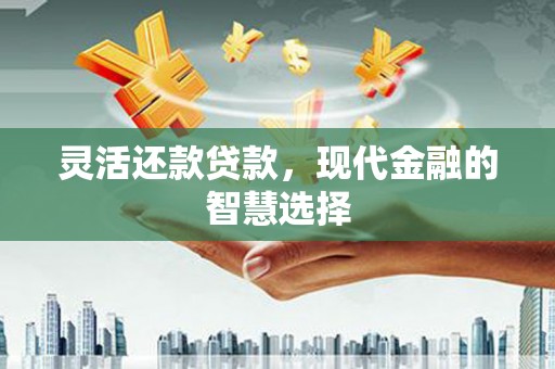 公安灵活还款贷款，现代金融的智慧选择