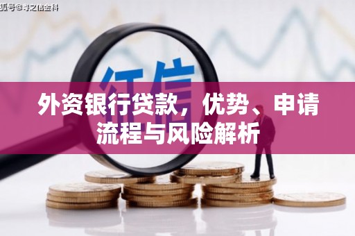公安外资银行贷款，优势、申请流程与风险解析