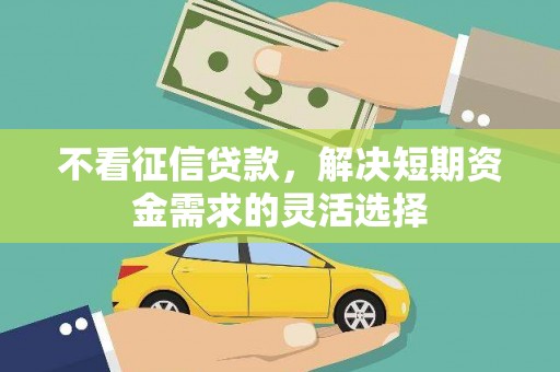 公安不看征信贷款，解决短期资金需求的灵活选择