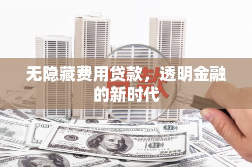 公安无隐藏费用贷款，透明金融的新时代
