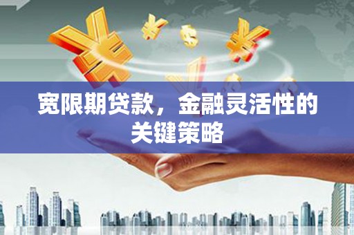 公安宽限期贷款，金融灵活性的关键策略