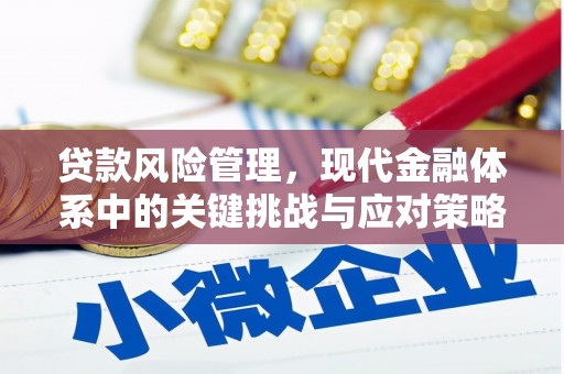 公安贷款风险管理，现代金融体系中的关键挑战与应对策略