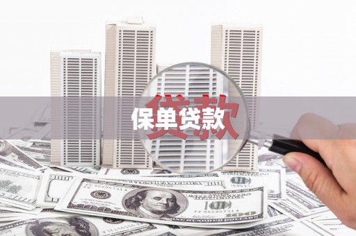 公安保单贷款