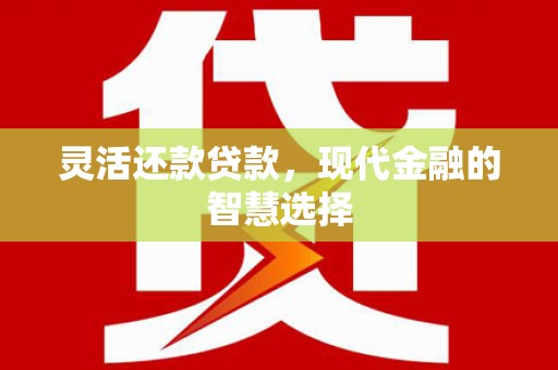 公安灵活还款贷款，现代金融的智慧选择
