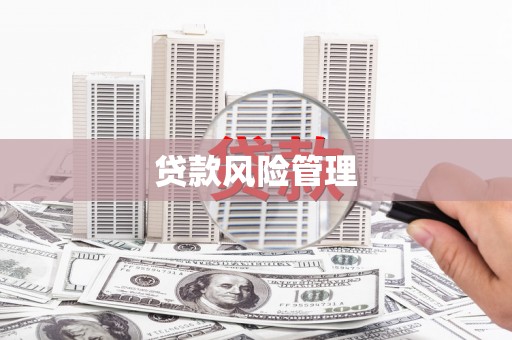 公安贷款风险管理