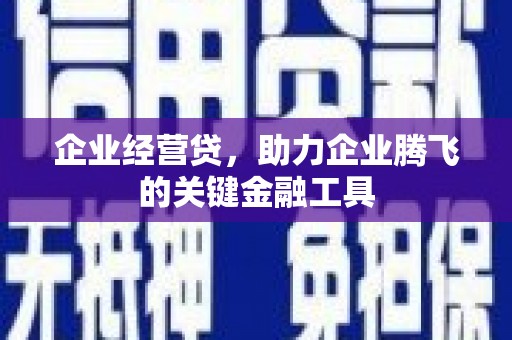 公安企业经营贷，助力企业腾飞的关键金融工具