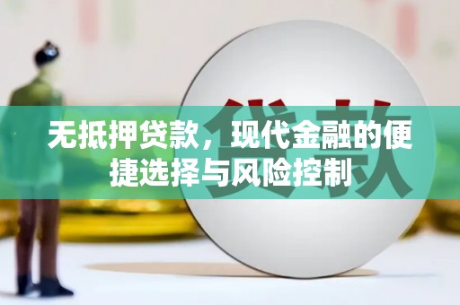 公安无抵押贷款，现代金融的便捷选择与风险控制