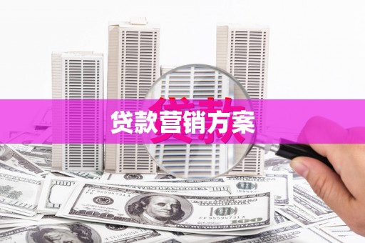 公安贷款营销方案