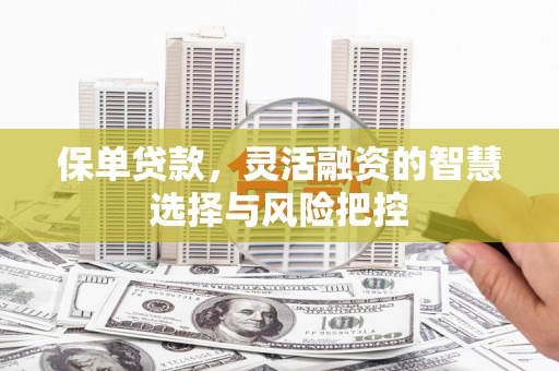公安保单贷款，灵活融资的智慧选择与风险把控
