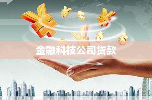 公安金融科技公司贷款