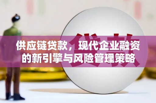 公安供应链贷款，现代企业融资的新引擎与风险管理策略