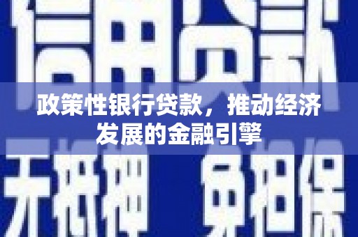 公安政策性银行贷款，推动经济发展的金融引擎
