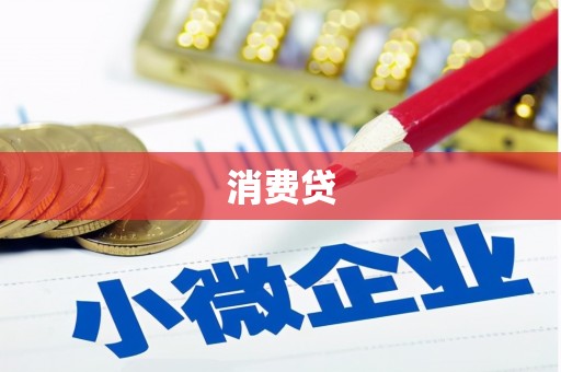 公安消费贷