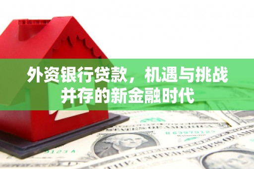 公安外资银行贷款，机遇与挑战并存的新金融时代
