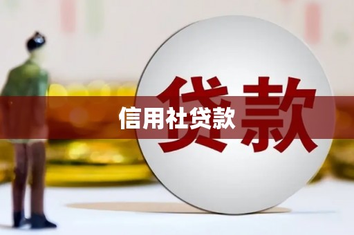 公安信用社贷款