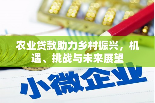 公安农业贷款助力乡村振兴，机遇、挑战与未来展望