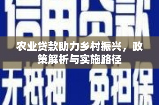 公安农业贷款助力乡村振兴，政策解析与实施路径